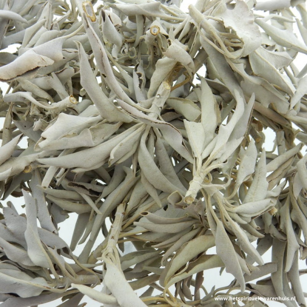 White Sage 250 gram